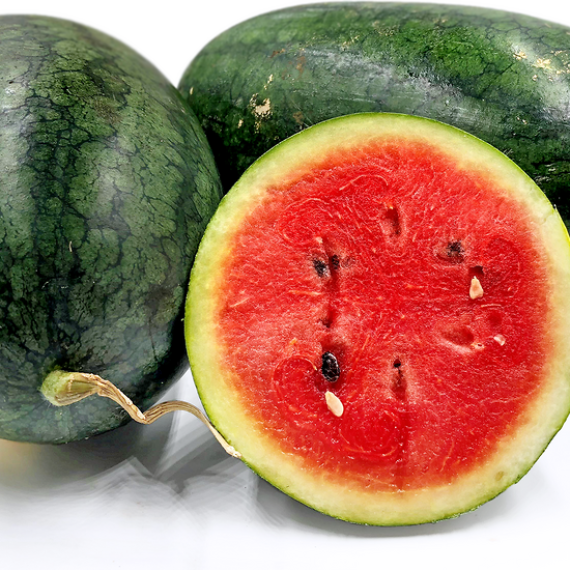 Wild Watermelon Delight