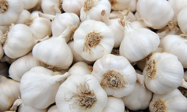 Garlic Essential Oil - 100% Pure Natural