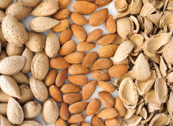Bitter Almond Essential Oil - 100% Pure Natural