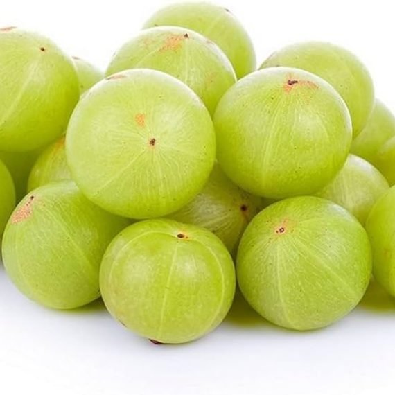 Amla Carrier Oil 100% natural