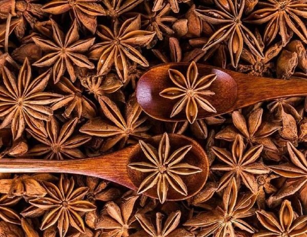 Aniseed Essential Oil - 100% Pure Natural - Image 2