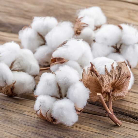 Clear Cotton