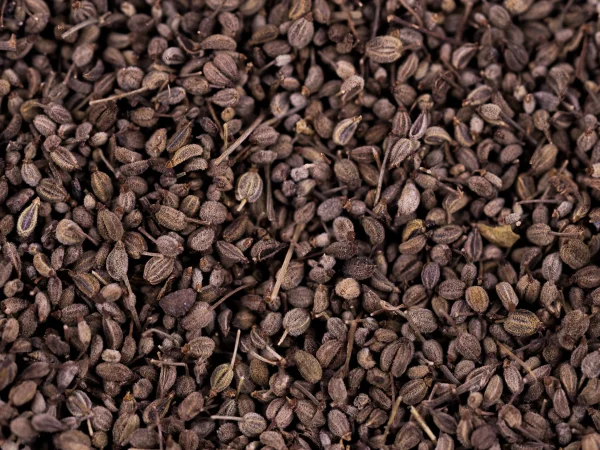 Celery seed Essential Oil - 100% Pure Natural - Image 2
