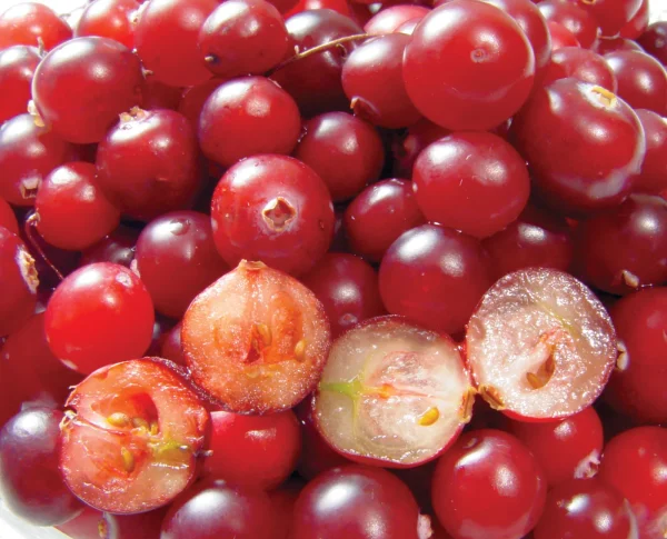 Deep Cranberry Mist