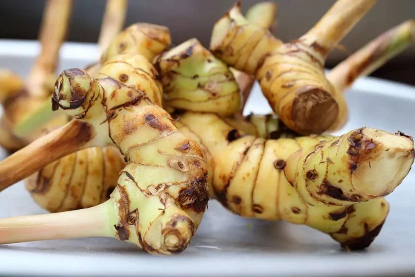 Galangal Essential Oil - 100% Pure Natural - Image 2