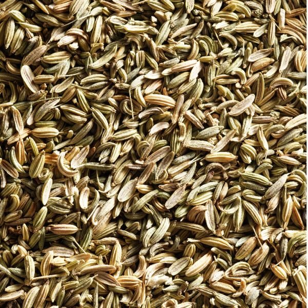 Fennel Seed Carrier Oil 100% natural