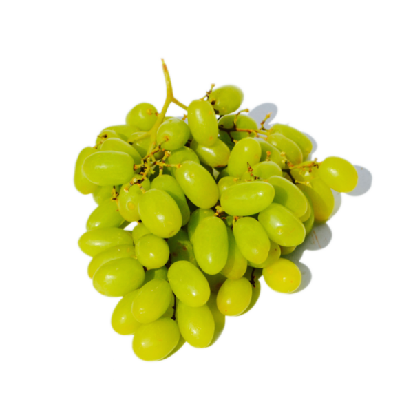 Grapeseed Carrier Oil 100% natural