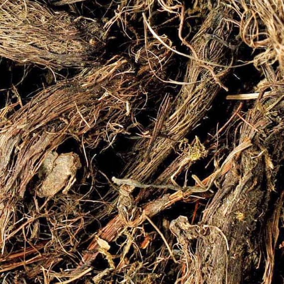 Spikenard Nepal Essential Oil – 100% Pure Natural