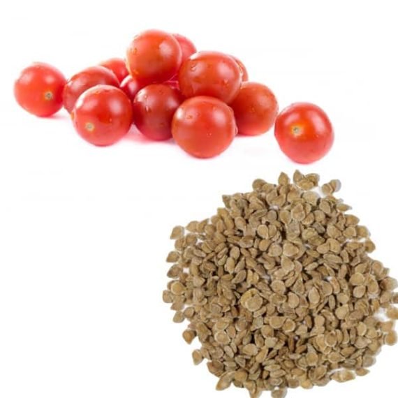 Tomato Seed Carrier Oil 100% natural