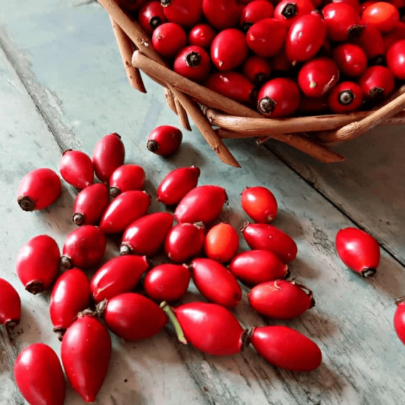 Rosehip Seed Carrier Oil 100% natural