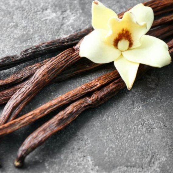 Vanilla Patchouli