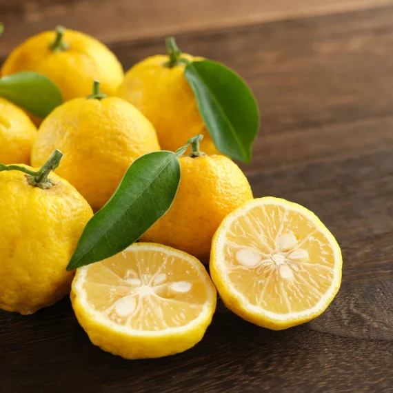 Yuzu