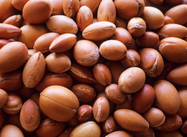 Argan Morocco Carrier Oil 100% natural