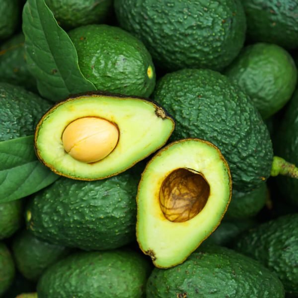 Avocado Carrier Oil 100% natural