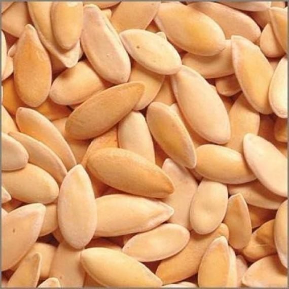 Musk Melon Seed Carrier Oil 100% natural