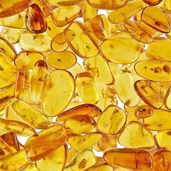 Amber Essential Oil – 100% Pure Natural